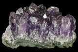 Purple Amethyst Cluster - Uruguay #66741-2